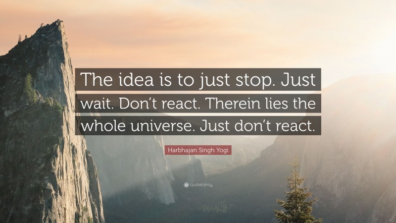 Harbhajan Singh Yogi Quote: “The idea is to just stop. Just wait. Don’t react. Therein lies the whole universe. Just don’t react.”