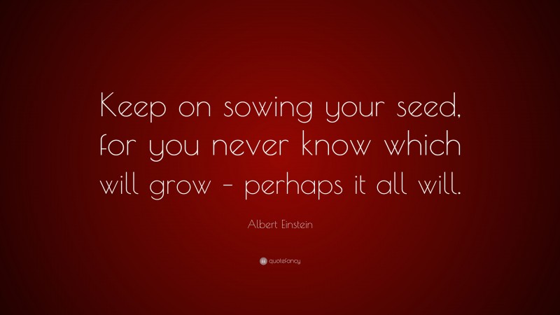 Albert Einstein Quote: “Keep on sowing your seed, for you never know which will grow – perhaps it all will.”