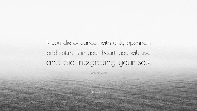 John de Ruiter Quote: “If you die of cancer with only openness and softness in your heart, you will live and die integrating your self.”