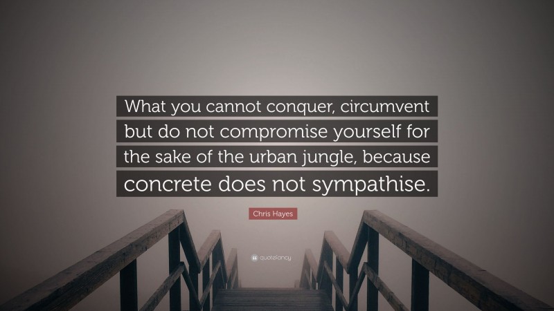 Chris Hayes Quote: “What you cannot conquer, circumvent but do not compromise yourself for the sake of the urban jungle, because concrete does not sympathise.”