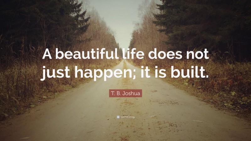 T. B. Joshua Quote: “A beautiful life does not just happen; it is built.”