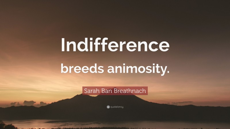 Sarah Ban Breathnach Quote: “Indifference breeds animosity.”