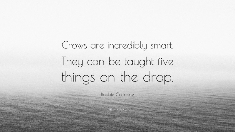 Robbie Coltraine Quote: “Crows are incredibly smart. They can be taught five things on the drop.”