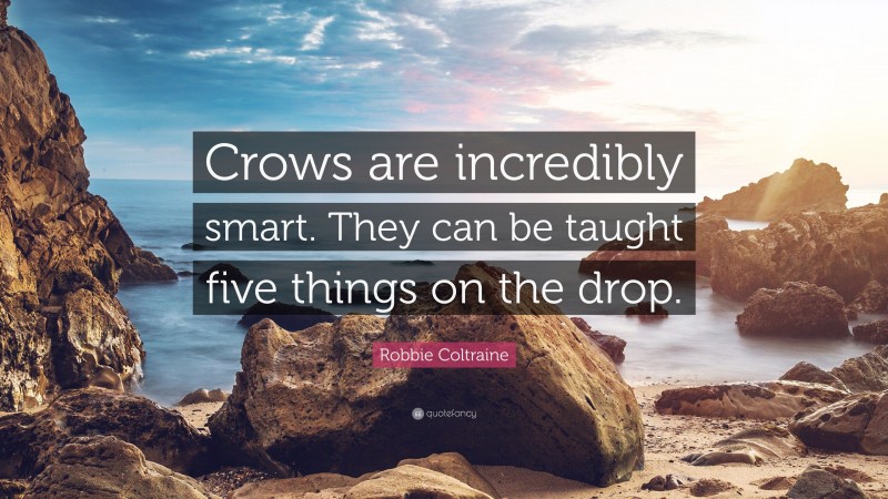 Robbie Coltraine Quote: “Crows are incredibly smart. They can be taught five things on the drop.”