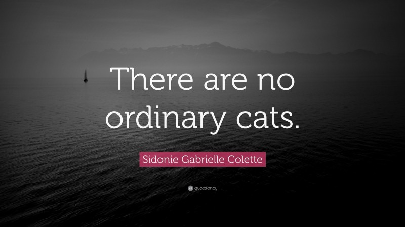 Sidonie Gabrielle Colette Quote: “There are no ordinary cats.”