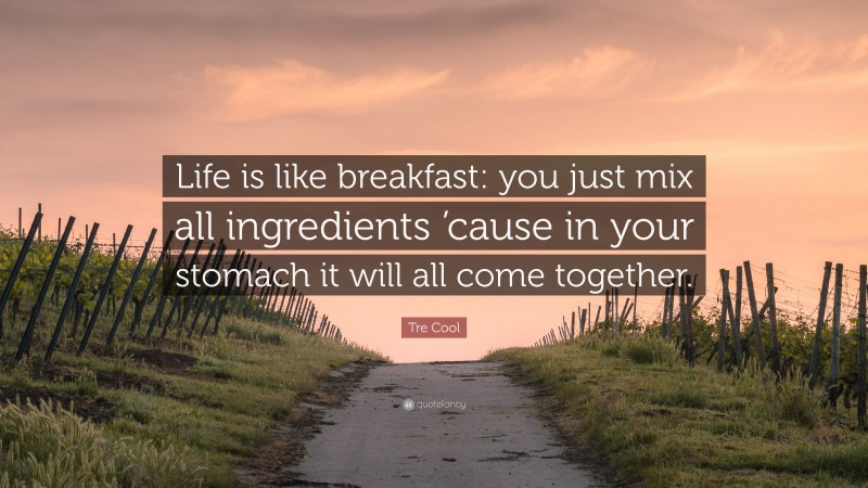 Tre Cool Quote: “Life is like breakfast: you just mix all ingredients ’cause in your stomach it will all come together.”