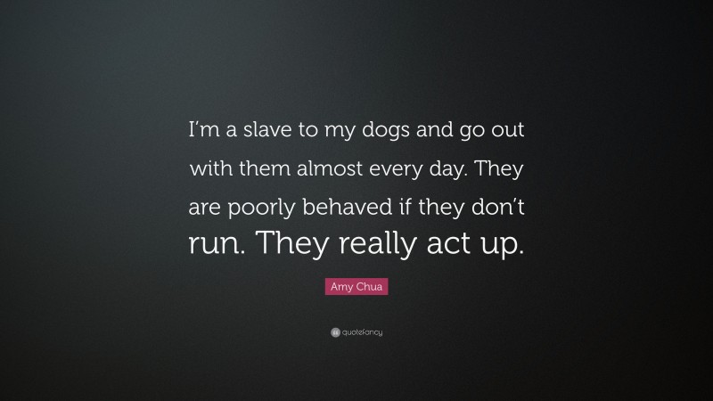 Amy Chua Quote: “I’m a slave to my dogs and go out with them almost every day. They are poorly behaved if they don’t run. They really act up.”