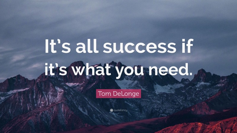 Tom DeLonge Quote: “It’s all success if it’s what you need.”