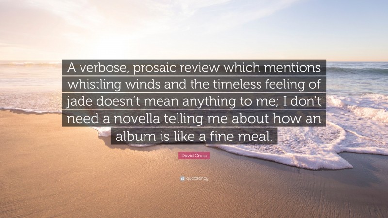 David Cross Quote: “A verbose, prosaic review which mentions whistling winds and the timeless feeling of jade doesn’t mean anything to me; I don’t need a novella telling me about how an album is like a fine meal.”