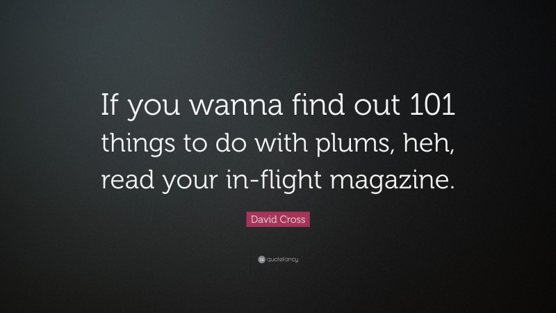 David Cross Quote: “If you wanna find out 101 things to do with plums, heh, read your in-flight magazine.”