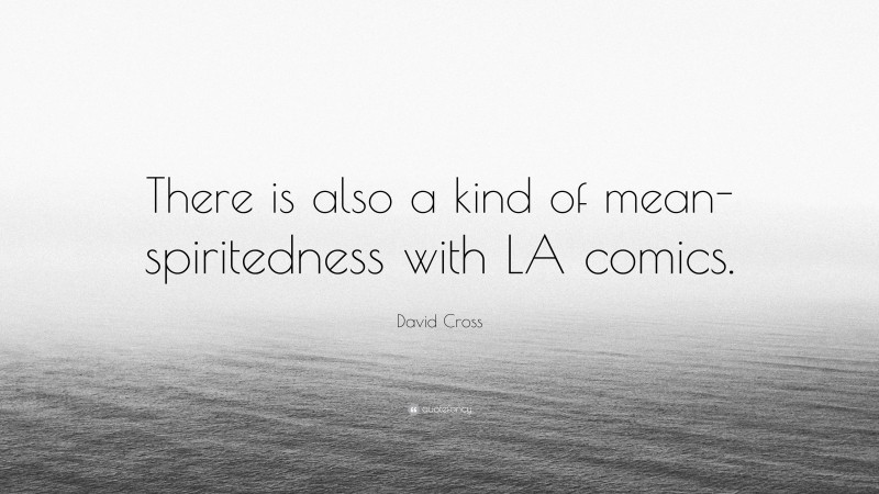 David Cross Quote: “There is also a kind of mean-spiritedness with LA comics.”