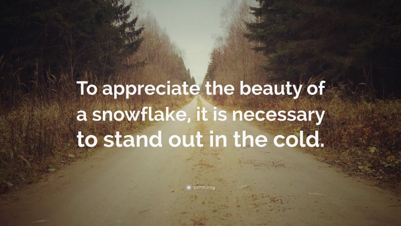 “To appreciate the beauty of a snowflake, it is necessary to stand out in the cold.” — Desktop Wallpaper