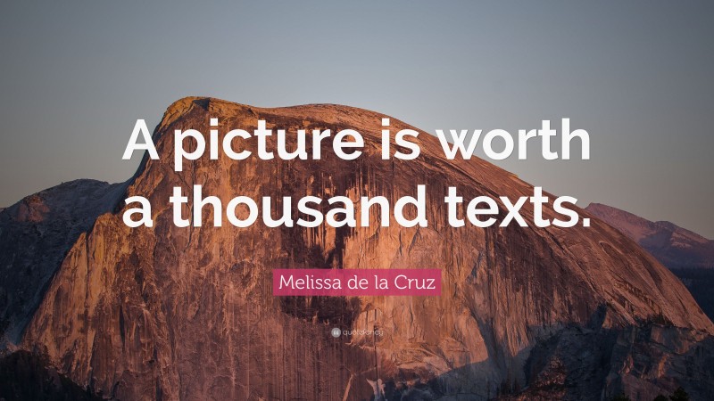 Melissa de la Cruz Quote: “A picture is worth a thousand texts.”