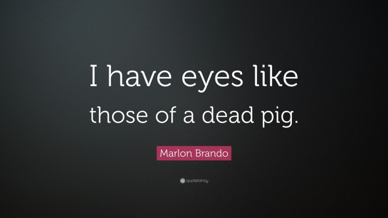 Marlon Brando Quote: “I have eyes like those of a dead pig.”