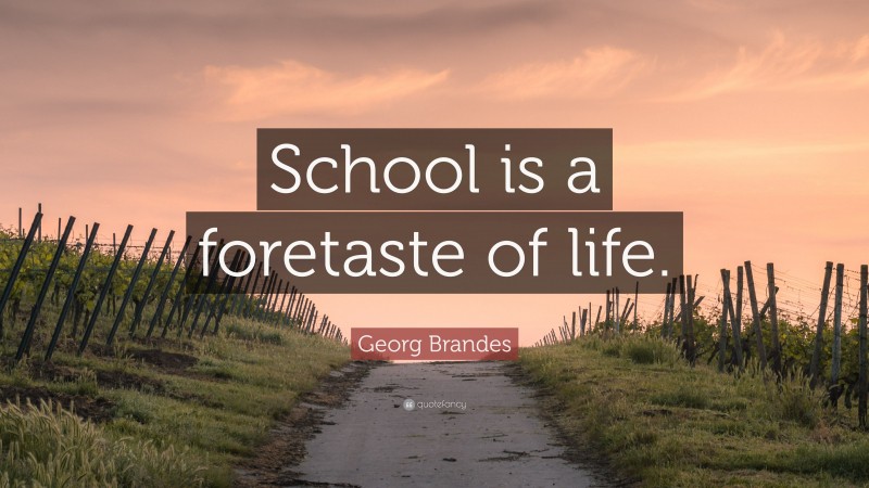 Georg Brandes Quote: “School is a foretaste of life.”