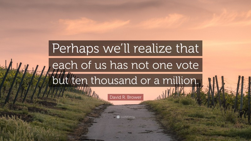 David R. Brower Quote: “Perhaps we’ll realize that each of us has not one vote but ten thousand or a million.”