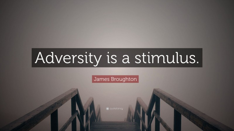 James Broughton Quote: “Adversity is a stimulus.”