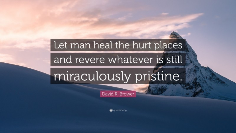 David R. Brower Quote: “Let man heal the hurt places and revere whatever is still miraculously pristine.”