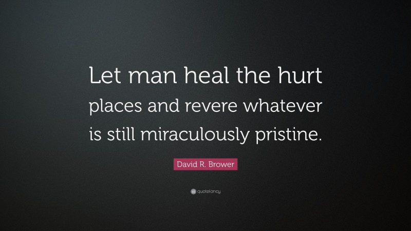 David R. Brower Quote: “Let man heal the hurt places and revere whatever is still miraculously pristine.”