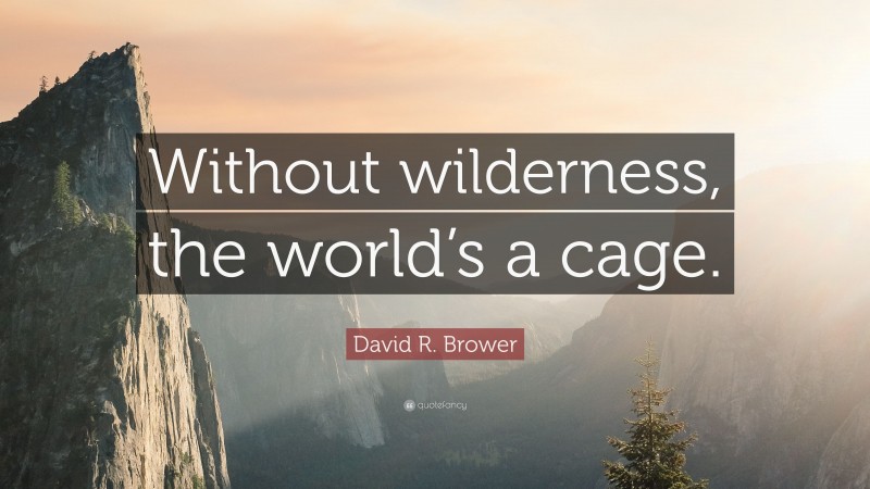 David R. Brower Quote: “Without wilderness, the world’s a cage.”