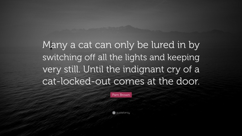Pam Brown Quote: “Many a cat can only be lured in by switching off all the lights and keeping very still. Until the indignant cry of a cat-locked-out comes at the door.”