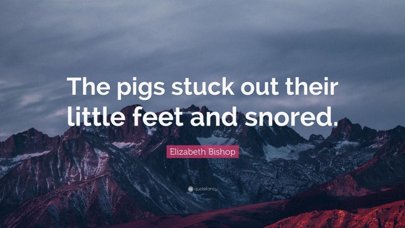 Elizabeth Bishop Quote: “The pigs stuck out their little feet and snored.”