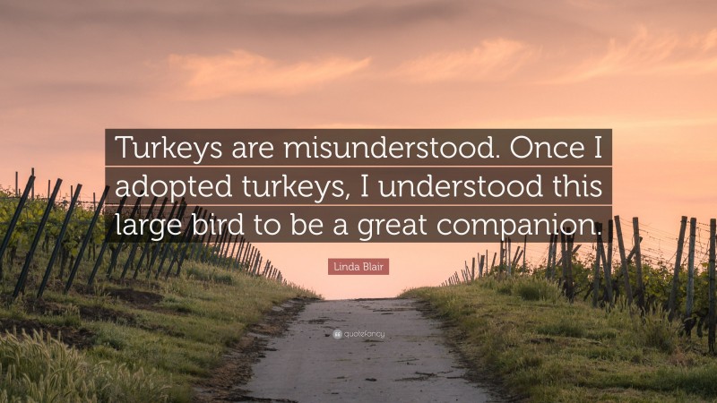 Linda Blair Quote: “Turkeys are misunderstood. Once I adopted turkeys, I understood this large bird to be a great companion.”