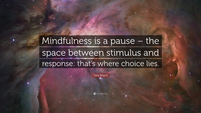 Tara Brach Quote: “Mindfulness is a pause – the space between stimulus and response: that’s where choice lies.”
