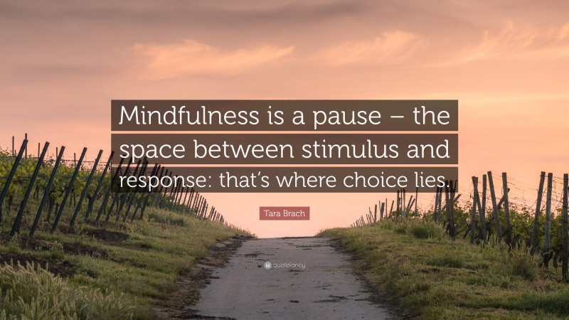 Tara Brach Quote: “Mindfulness is a pause – the space between stimulus and response: that’s where choice lies.”