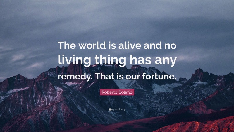 Roberto Bolaño Quote: “The world is alive and no living thing has any remedy. That is our fortune.”