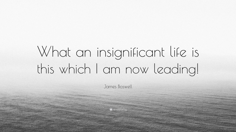 James Boswell Quote: “What an insignificant life is this which I am now leading!”