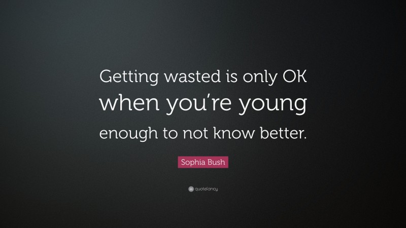 Sophia Bush Quote: “Getting wasted is only OK when you’re young enough to not know better.”