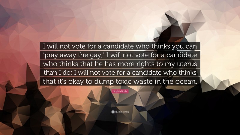 Sophia Bush Quote: “I will not vote for a candidate who thinks you can ‘pray away the gay;’ I will not vote for a candidate who thinks that he has more rights to my uterus than I do; I will not vote for a candidate who thinks that it’s okay to dump toxic waste in the ocean.”