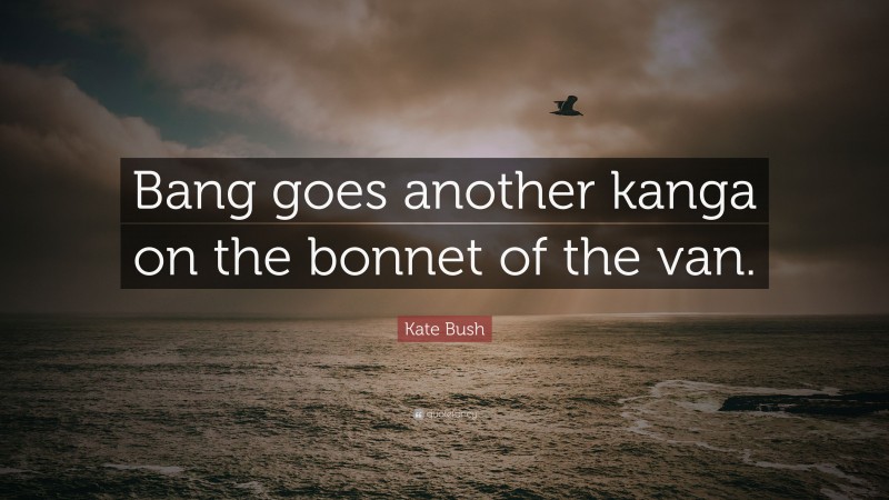 Kate Bush Quote: “Bang goes another kanga on the bonnet of the van.”