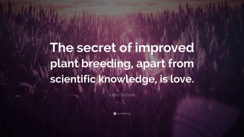 Luther Burbank Quote: “The secret of improved plant breeding, apart from scientific knowledge, is love.”