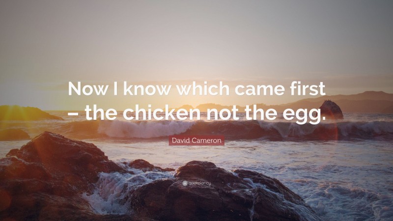 David Cameron Quote: “Now I know which came first – the chicken not the egg.”