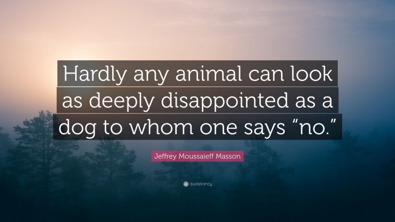 Jeffrey Moussaieff Masson Quote: “Hardly any animal can look as deeply disappointed as a dog to whom one says “no.””