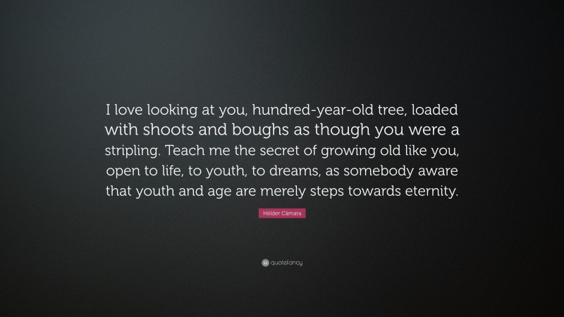 Hélder Câmara Quote: “I love looking at you, hundred-year-old tree, loaded with shoots and boughs as though you were a stripling. Teach me the secret of growing old like you, open to life, to youth, to dreams, as somebody aware that youth and age are merely steps towards eternity.”