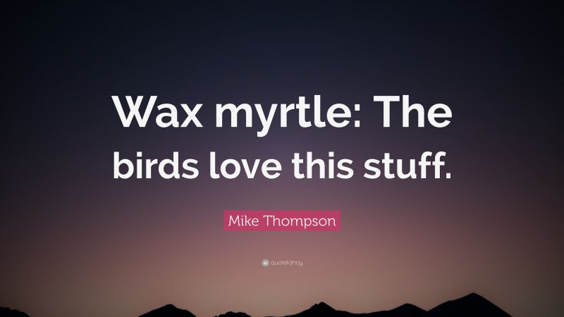 Mike Thompson Quote: “Wax myrtle: The birds love this stuff.”