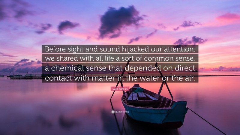 Lyall Watson Quote: “Before sight and sound hijacked our attention, we shared with all life a sort of common sense, a chemical sense that depended on direct contact with matter in the water or the air.”