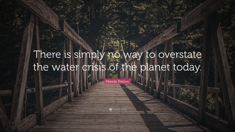 Maude Barlow Quote: “There is simply no way to overstate the water crisis of the planet today.”