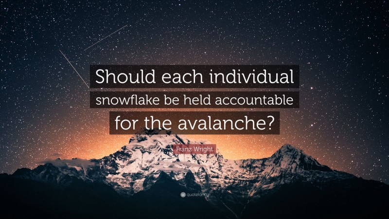 Franz Wright Quote: “Should each individual snowflake be held accountable for the avalanche?”