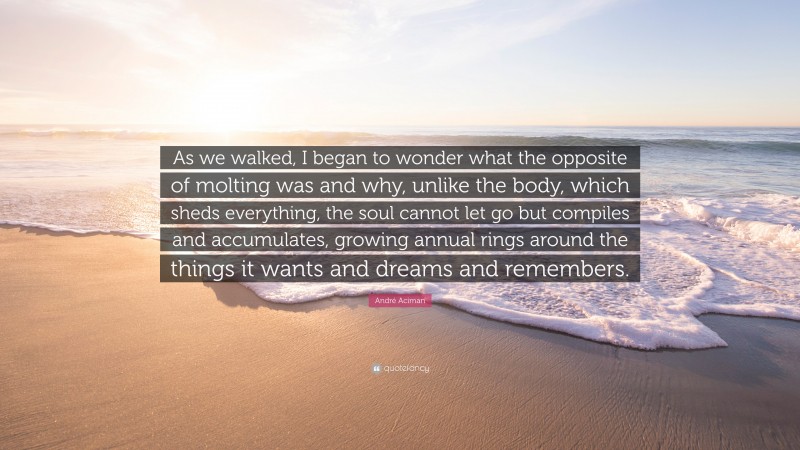 André Aciman Quote: “As we walked, I began to wonder what the opposite of molting was and why, unlike the body, which sheds everything, the soul cannot let go but compiles and accumulates, growing annual rings around the things it wants and dreams and remembers.”