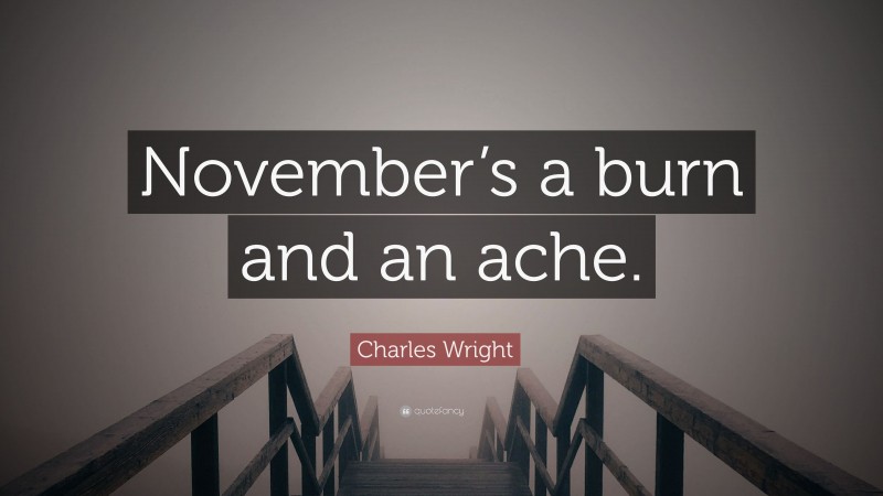 Charles Wright Quote: “November’s a burn and an ache.”