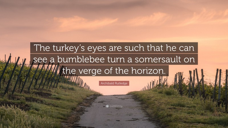 Archibald Rutledge Quote: “The turkey’s eyes are such that he can see a bumblebee turn a somersault on the verge of the horizon.”