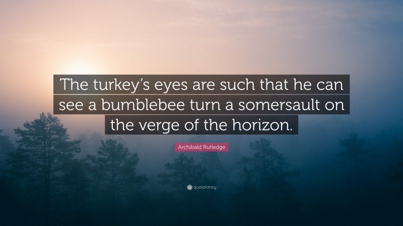 Archibald Rutledge Quote: “The turkey’s eyes are such that he can see a bumblebee turn a somersault on the verge of the horizon.”