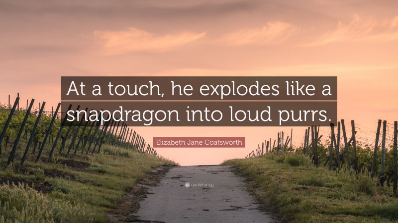 Elizabeth Jane Coatsworth Quote: “At a touch, he explodes like a snapdragon into loud purrs.”