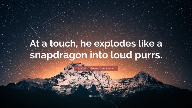 Elizabeth Jane Coatsworth Quote: “At a touch, he explodes like a snapdragon into loud purrs.”