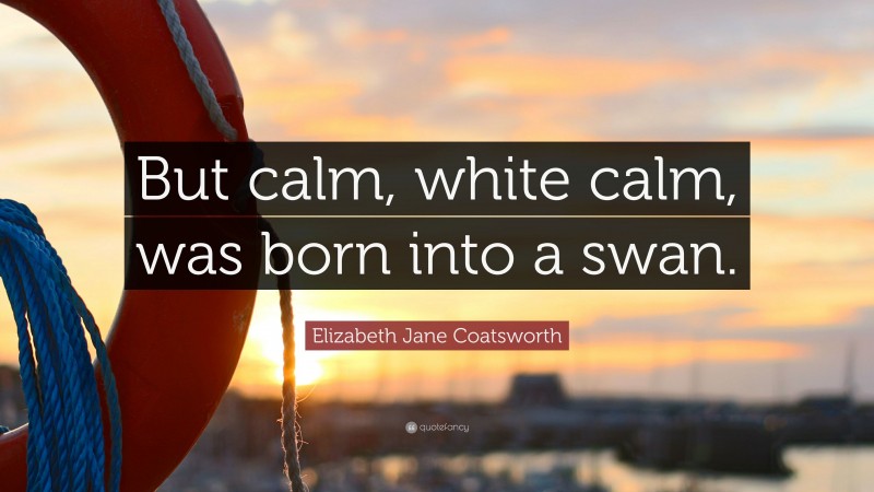 Elizabeth Jane Coatsworth Quote: “But calm, white calm, was born into a swan.”