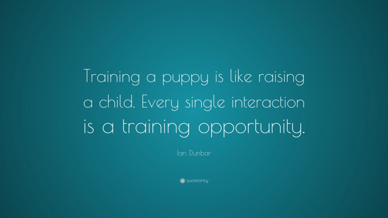 Ian Dunbar Quote: “Training a puppy is like raising a child. Every single interaction is a training opportunity.”